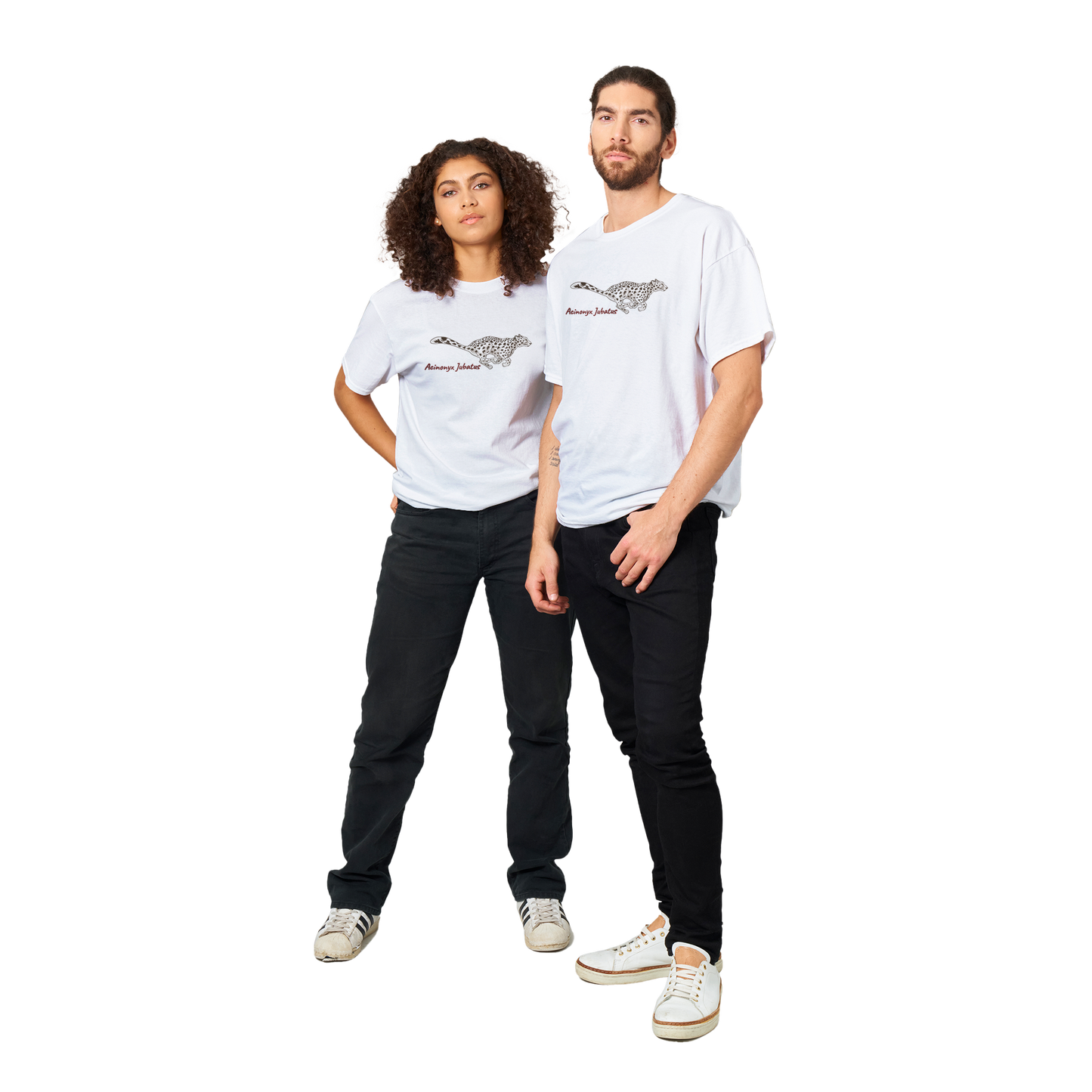 African Cheetah - Acinonyx Jubatus